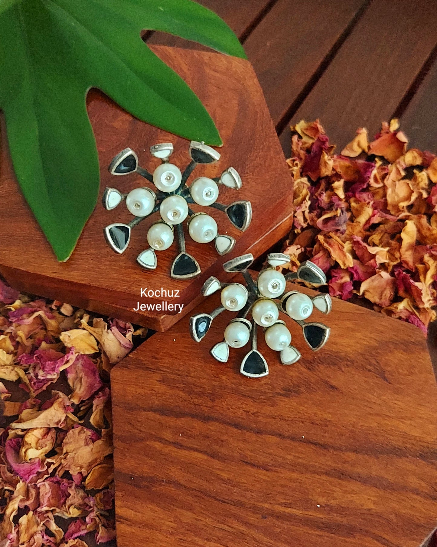 EAR1031 - Spike Earrings