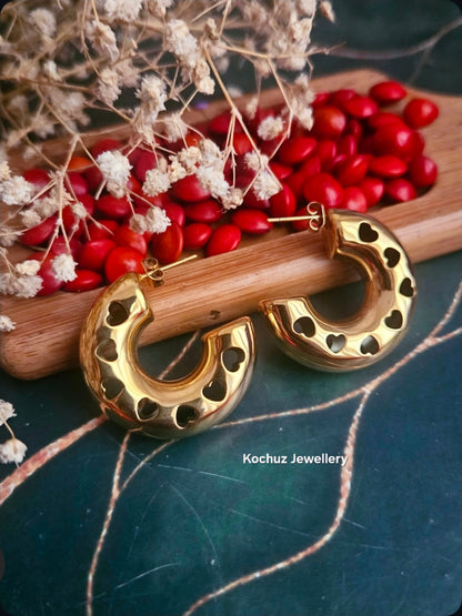 EAR1309 - Anti Tarnish Earrings(316L)