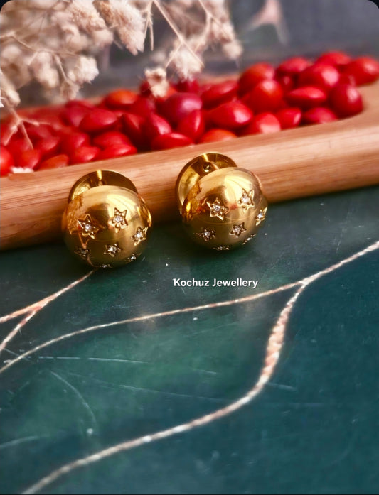 EAR1308 - Anti Tarnish Earrings (316L)